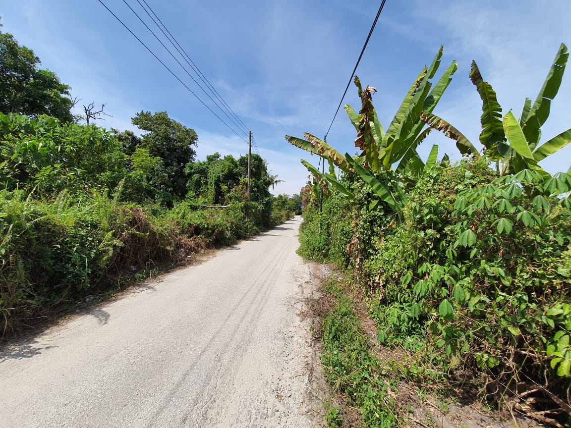 Agriculture-Land-Sg-Chu-2