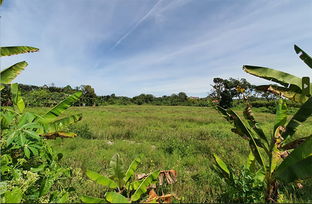 Agriculture-Land-Sg-Chu