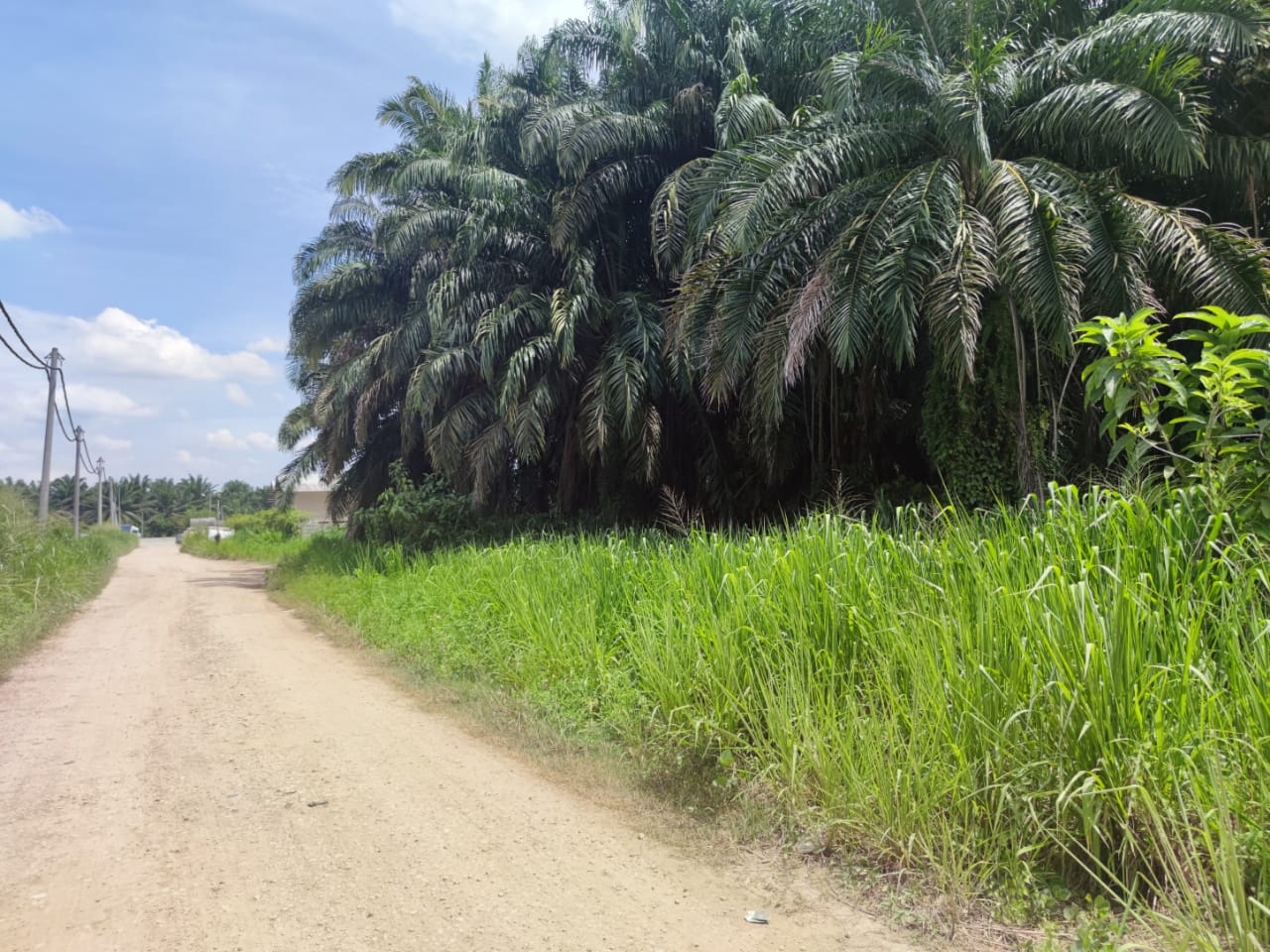 WhatsApp-Image-2022-09-14-at-16.46.40-1